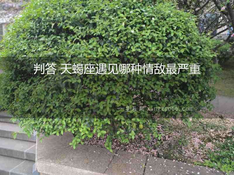 判答 天蝎座遇見哪種情敵最嚴重