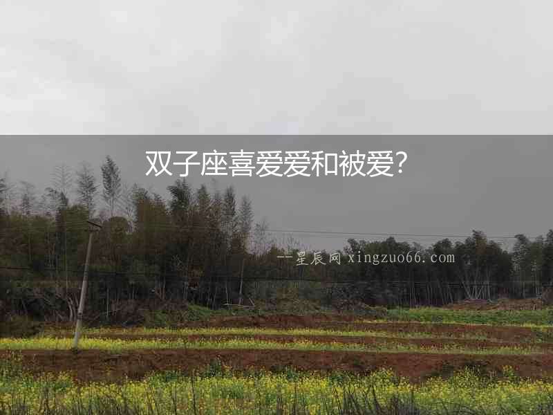 雙子座喜愛愛和被愛？