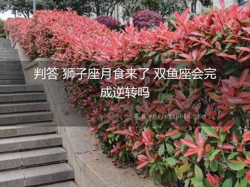 判答 獅子座月食來(lái)了 雙魚(yú)座會(huì)完成逆轉(zhuǎn)嗎