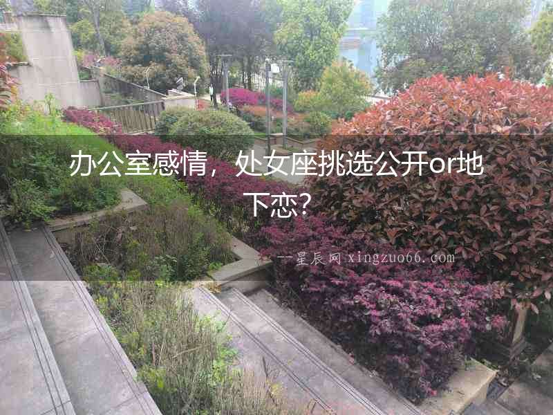 辦公室感情，處女座挑選公開or地下戀？