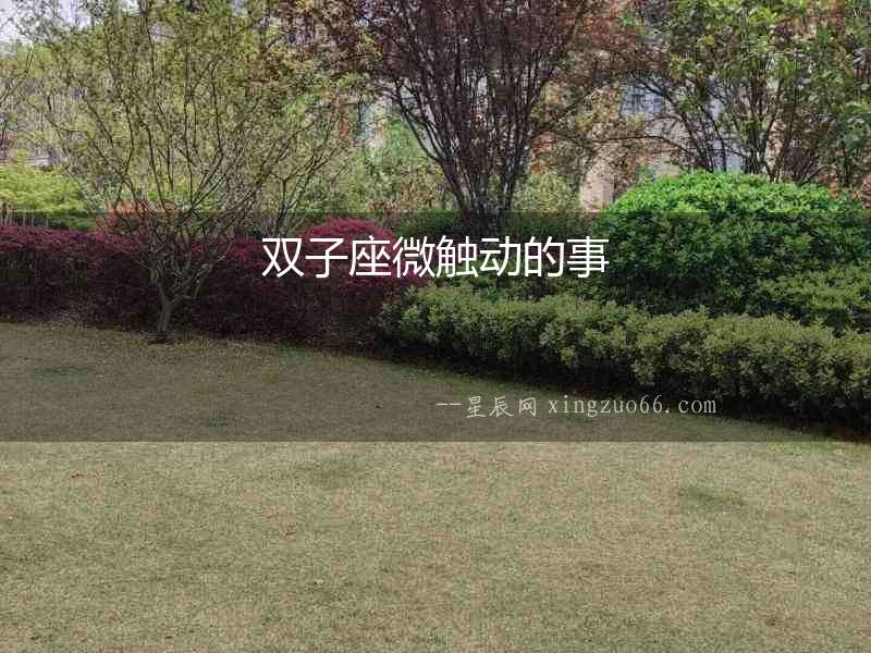 雙子座微觸動(dòng)的事