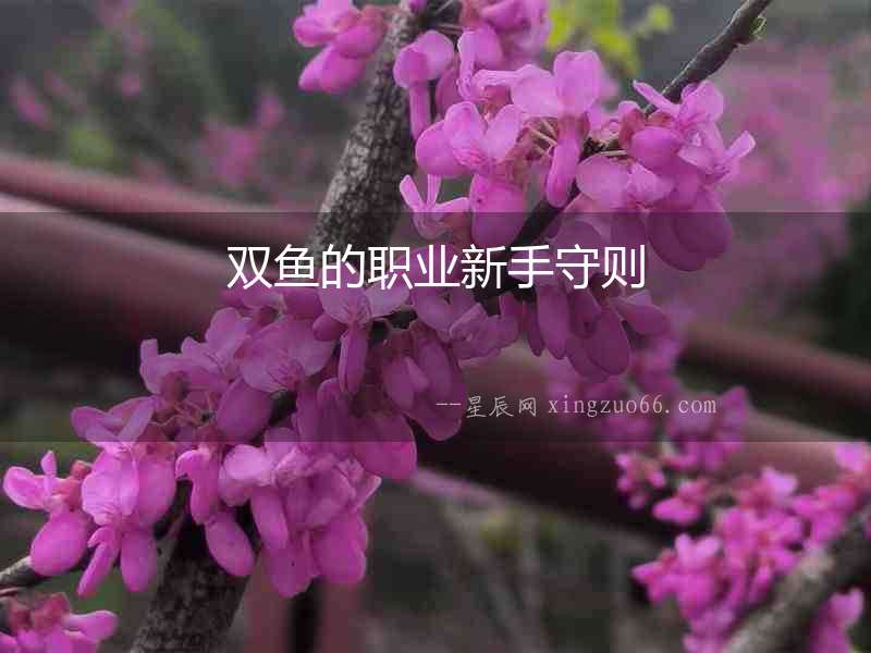 雙魚的職業(yè)新手守則
