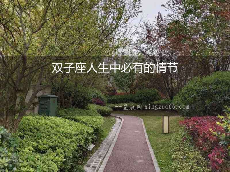 雙子座人生中必有的情節