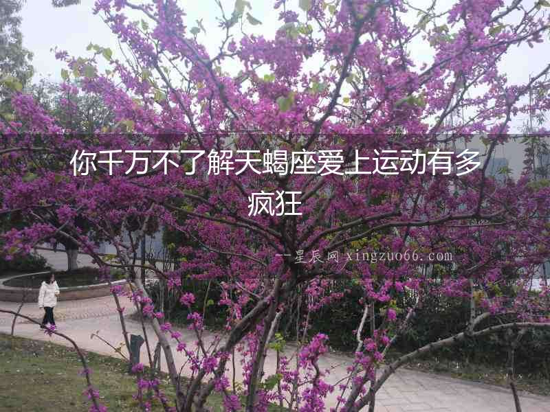 你千萬不了解天蝎座愛上運(yùn)動(dòng)有多瘋狂