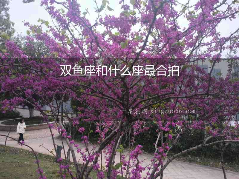 雙魚(yú)座和什么座最合拍