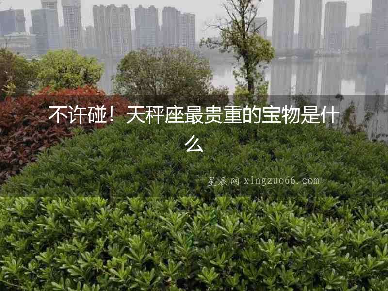 不許碰！天秤座最貴重的寶物是什么