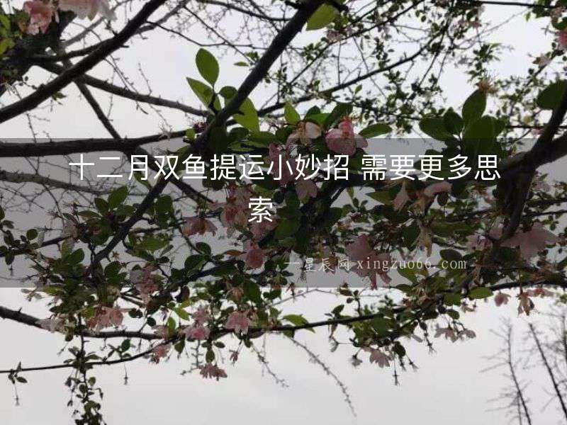 十二月雙魚提運小妙招 需要更多思索  　　