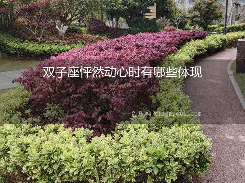 雙子座怦然動心時有哪些體現(xiàn)