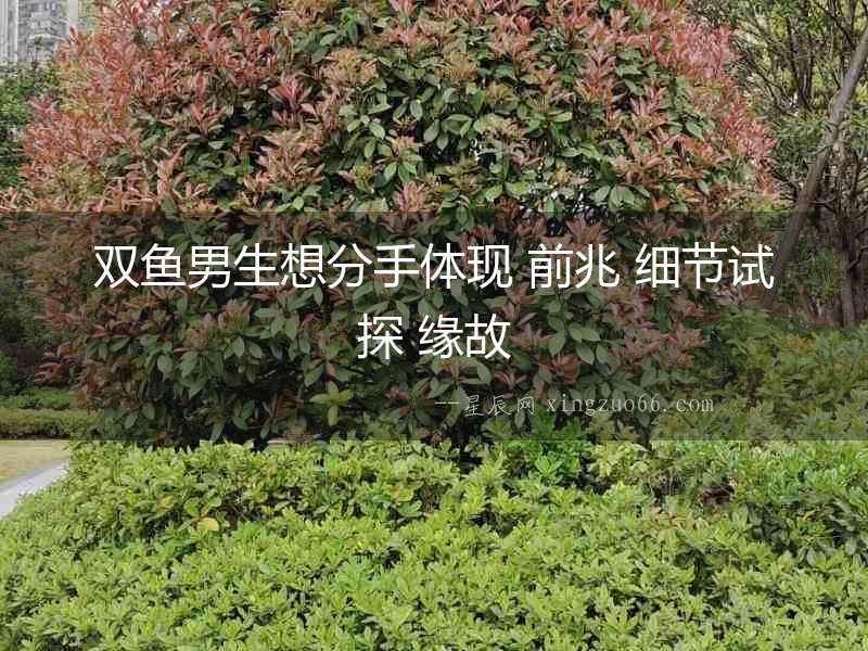 雙魚男生想分手體現 前兆 細節試探 緣故