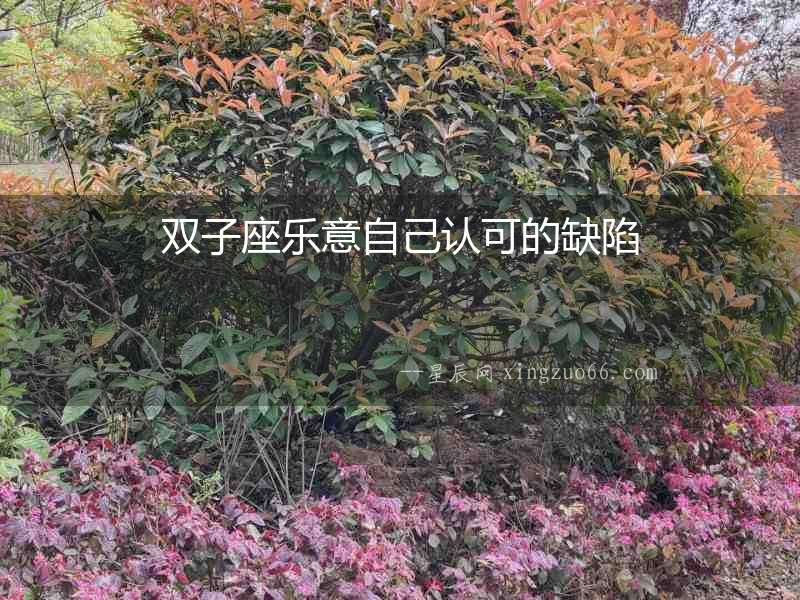 雙子座樂意自己認(rèn)可的缺陷