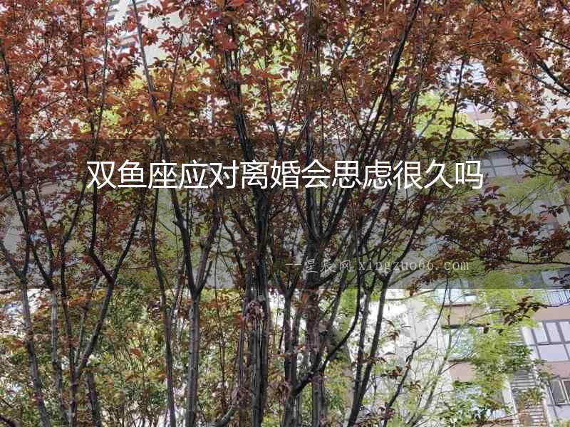 雙魚座應對離婚會思慮很久嗎