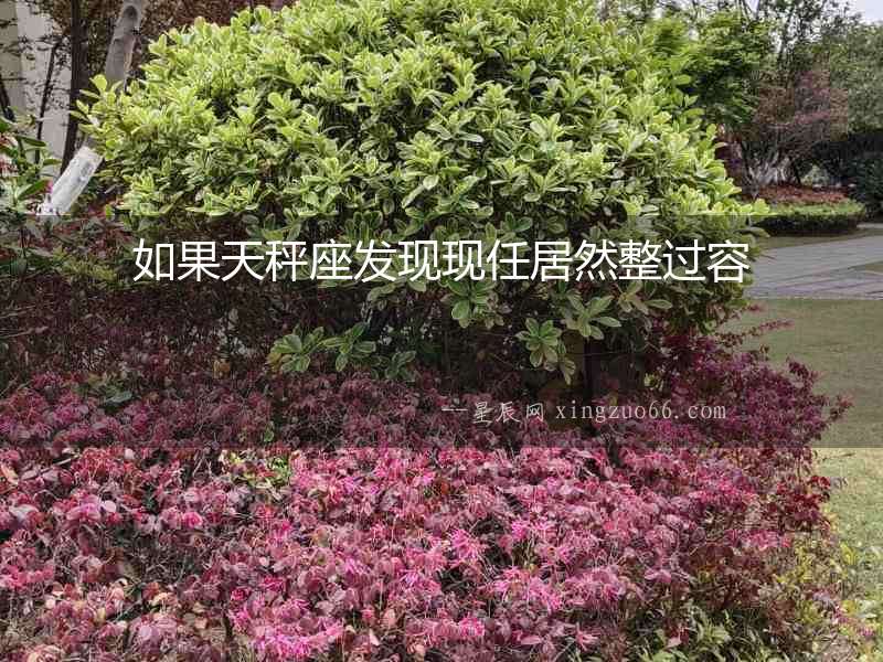如果天秤座發現現任居然整過容