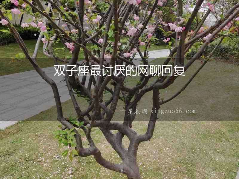雙子座最討厭的網聊回復