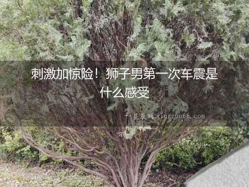 刺激加驚險！獅子男第一次車震是什么感受
