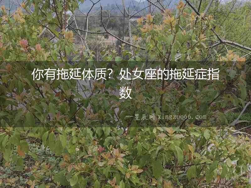 你有拖延體質(zhì)？處女座的拖延癥指數(shù)