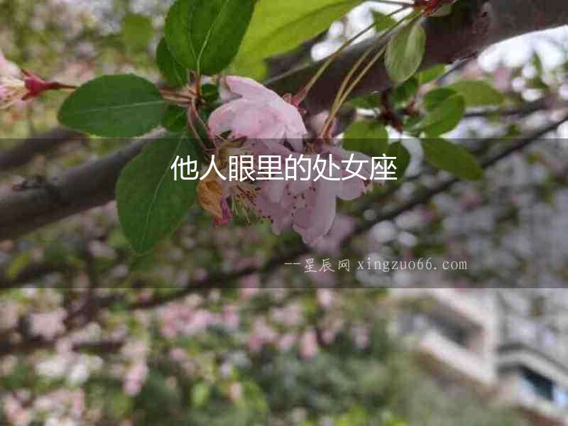 他人眼里的處女座