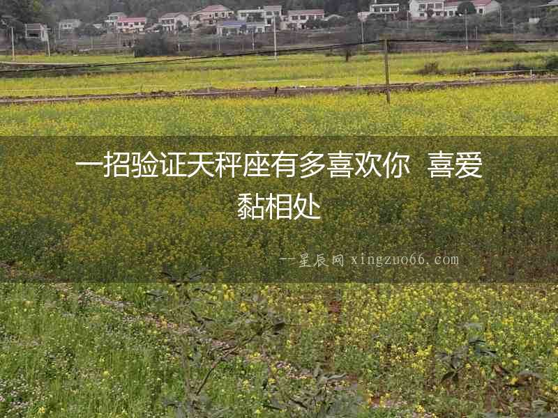 一招驗證天秤座有多喜歡你  喜愛黏相處