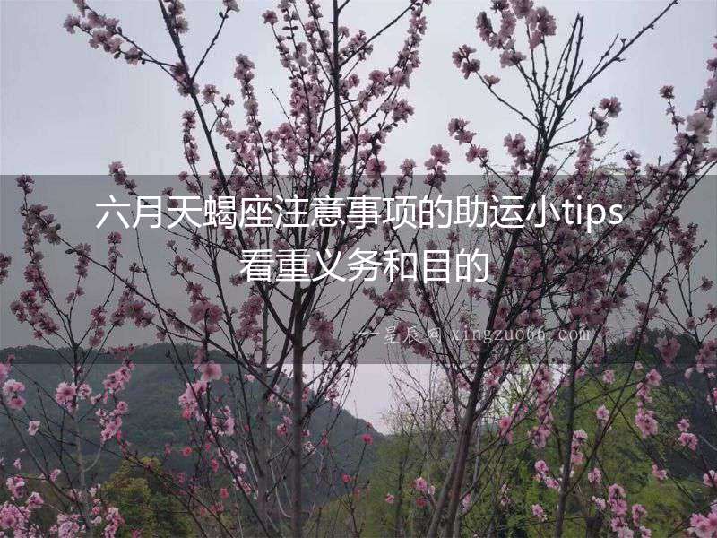 六月天蝎座注意事項的助運小tips 看重義務和目的