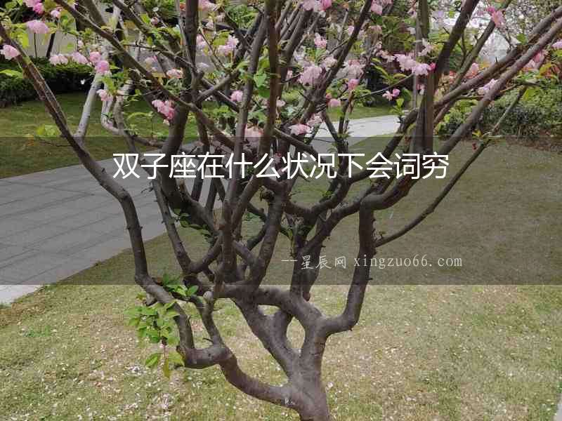 雙子座在什么狀況下會(huì)詞窮