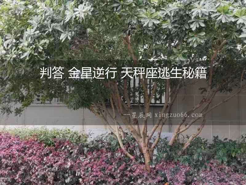 判答 金星逆行 天秤座逃生秘籍