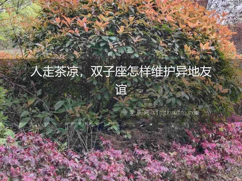 人走茶涼，雙子座怎樣維護異地友誼