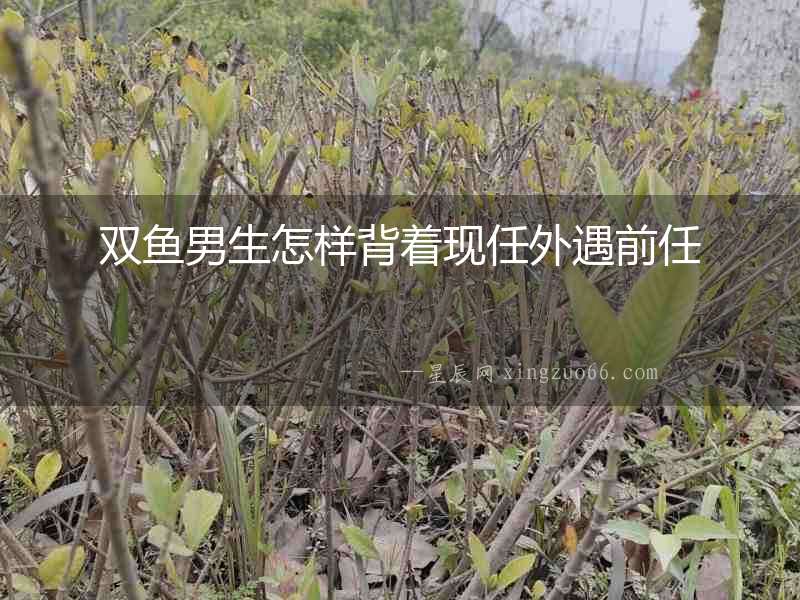 雙魚男生怎樣背著現任外遇前任