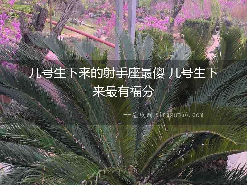 幾號(hào)生下來的射手座最傻 幾號(hào)生下來最有福分