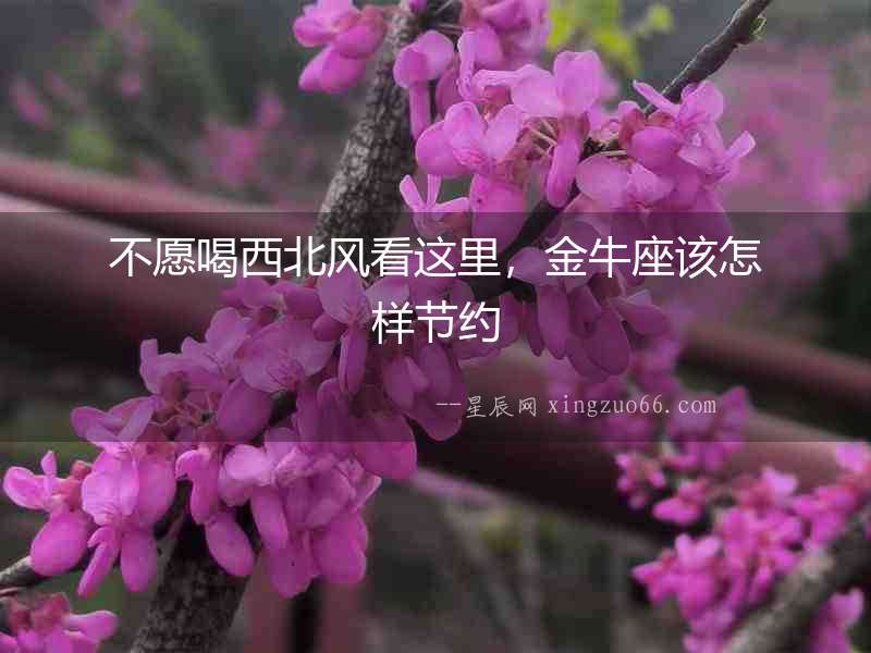 不愿喝西北風看這里，金牛座該怎樣節約