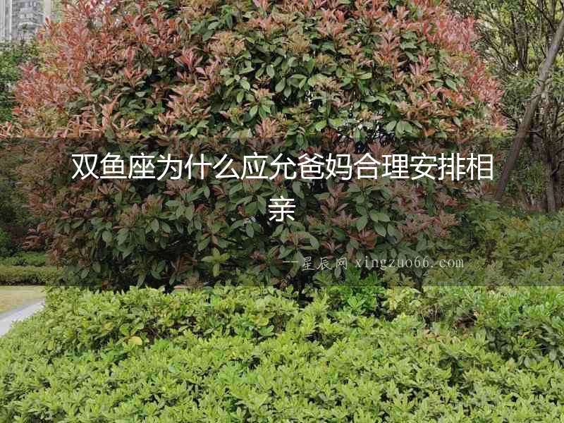 雙魚座為什么應允爸媽合理安排相親