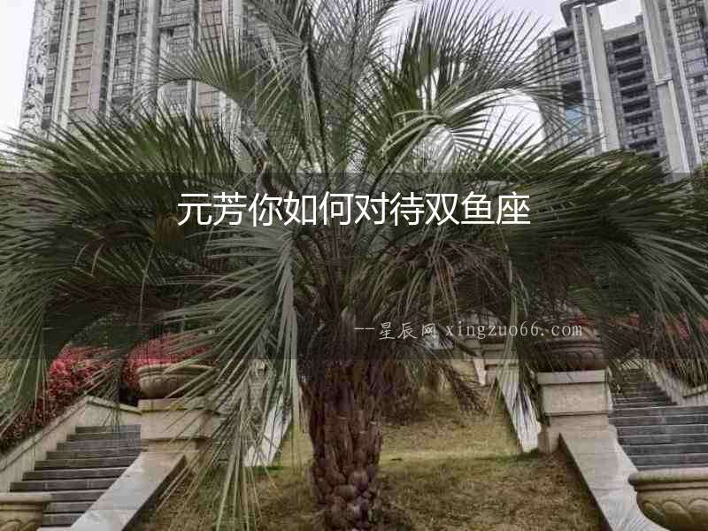 元芳你如何對待雙魚座
