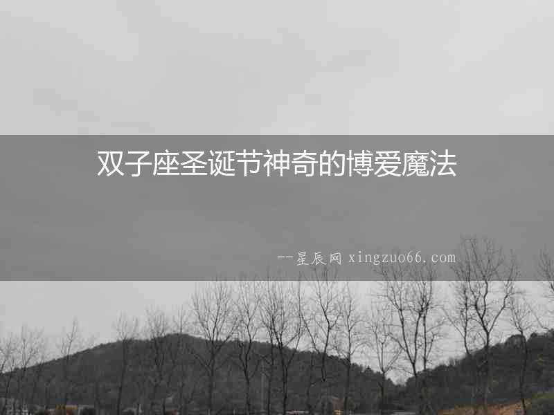 雙子座圣誕節(jié)神奇的博愛魔法