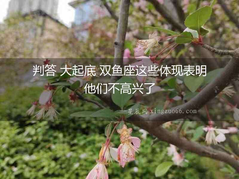 判答 大起底 雙魚座這些體現表明他們不高興了