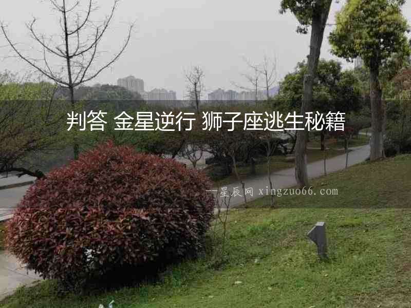 判答 金星逆行 獅子座逃生秘籍