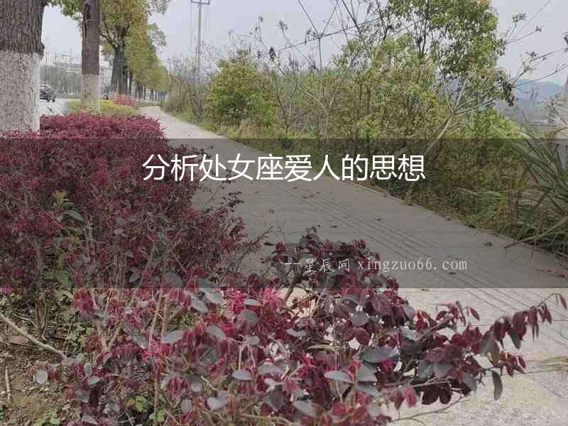 分析處女座愛人的思想