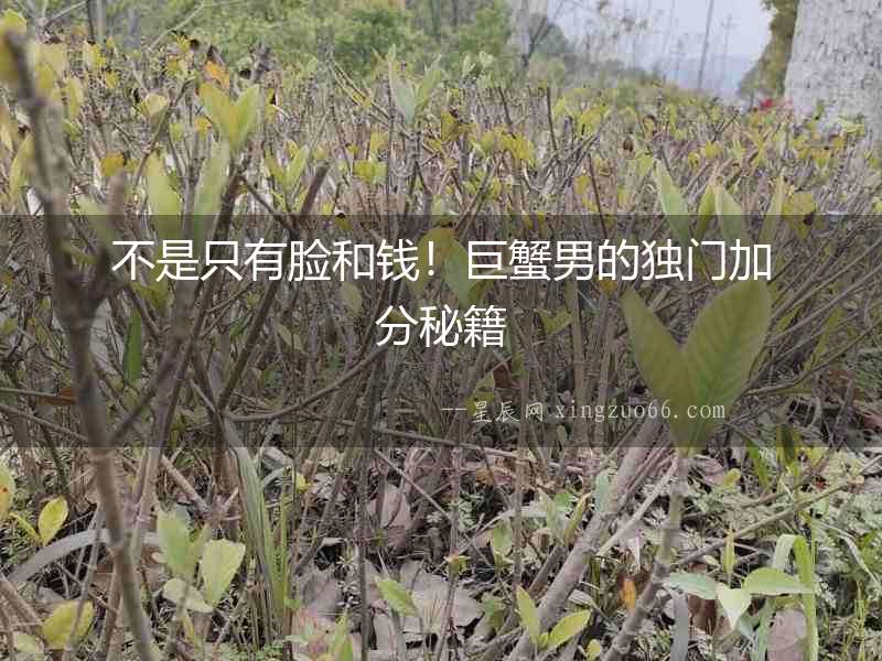 不是只有臉和錢(qián)！巨蟹男的獨(dú)門(mén)加分秘籍