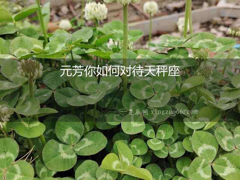 元芳你如何對待天秤座