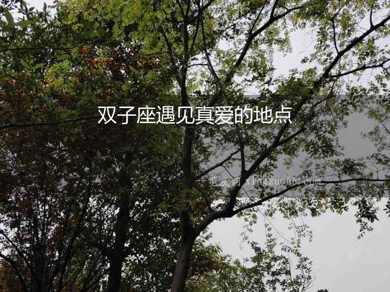 雙子座遇見真愛的地點