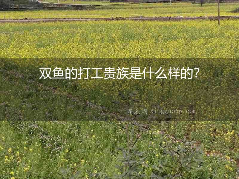 雙魚的打工貴族是什么樣的？