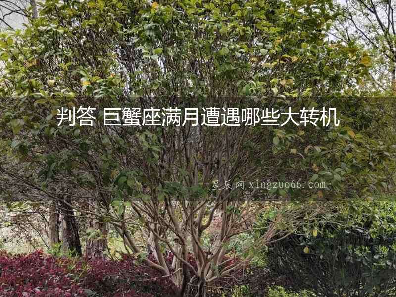判答 巨蟹座滿月遭遇哪些大轉機