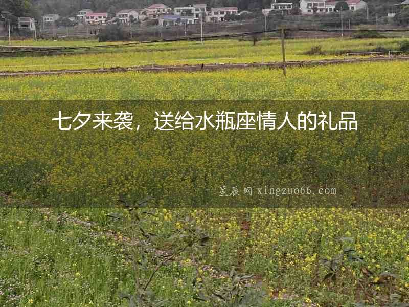 七夕來襲，送給水瓶座情人的禮品