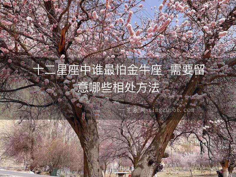十二星座中誰最怕金牛座  需要留意哪些相處方法