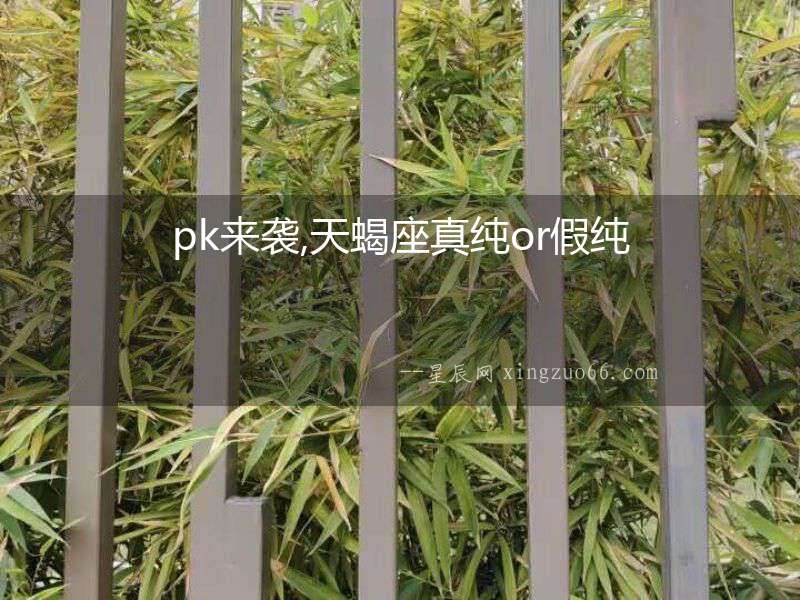pk來(lái)襲,天蝎座真純or假純
