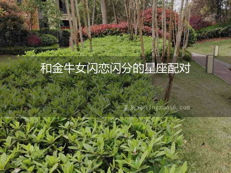 和金牛女閃戀閃分的星座配對