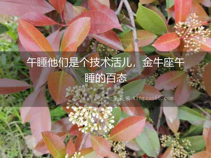 午睡他們是個技術活兒，金牛座午睡的百態