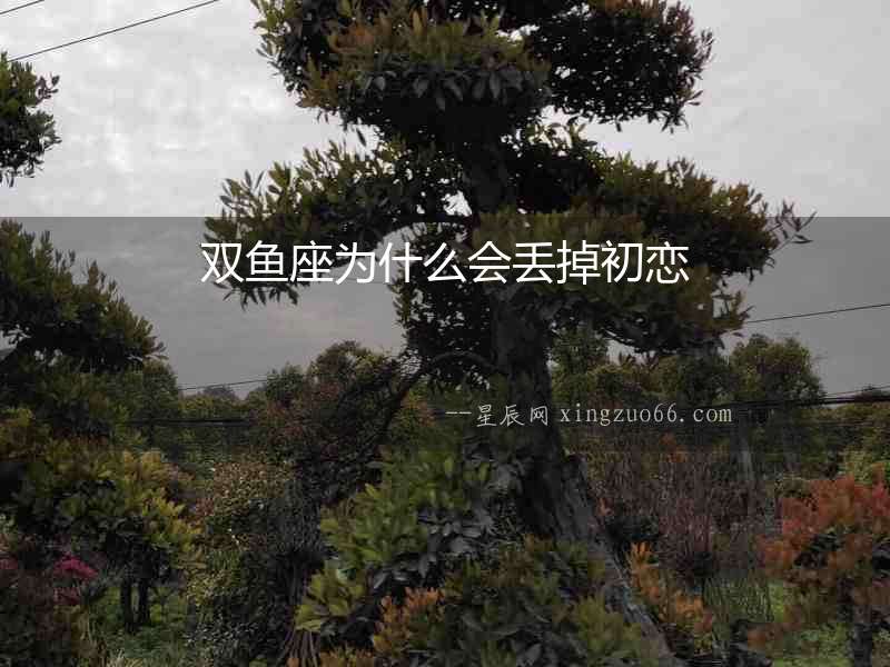 雙魚座為什么會(huì)丟掉初戀