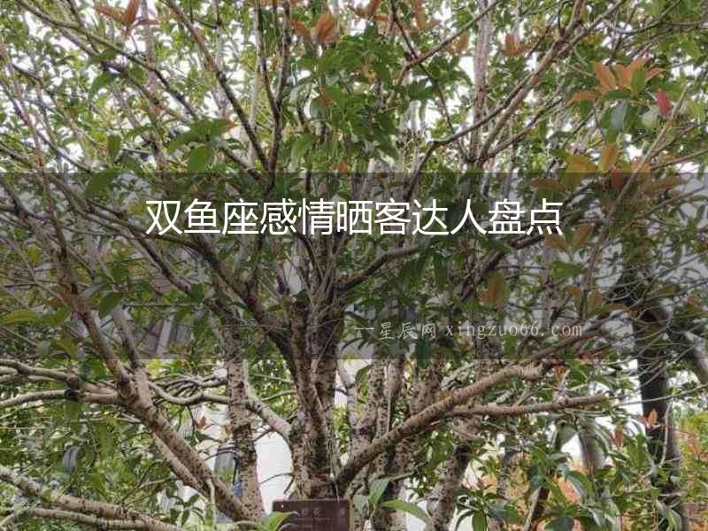 雙魚(yú)座感情曬客達(dá)人盤(pán)點(diǎn)