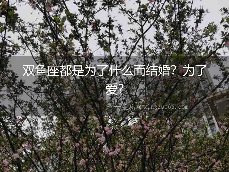 雙魚座都是為了什么而結婚？為了愛？
