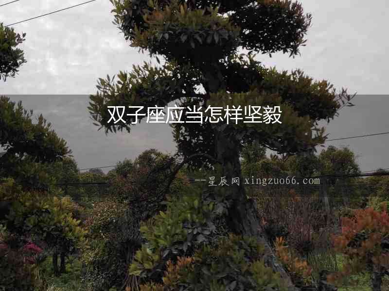 雙子座應當怎樣堅毅