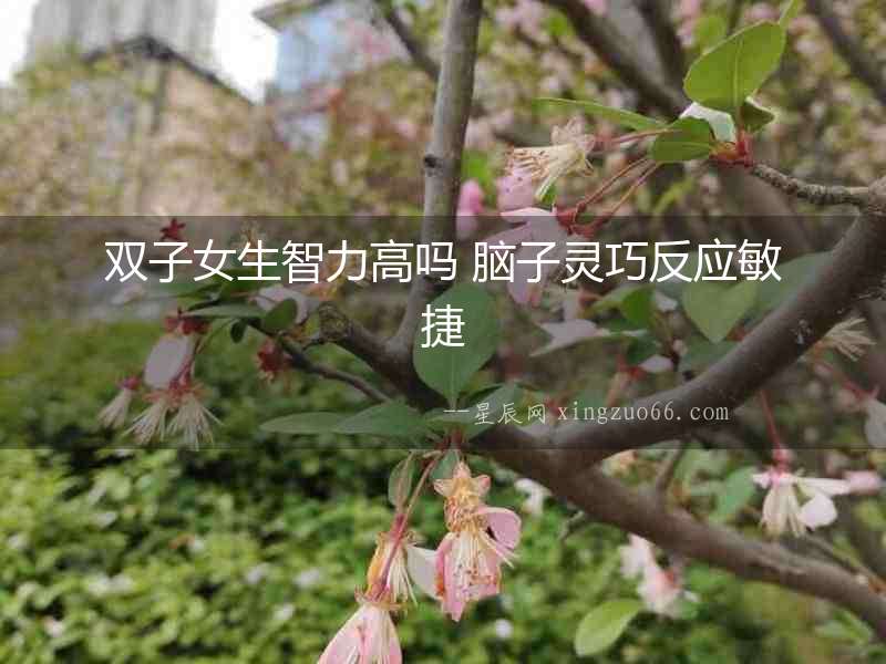 雙子女生智力高嗎 腦子靈巧反應敏捷