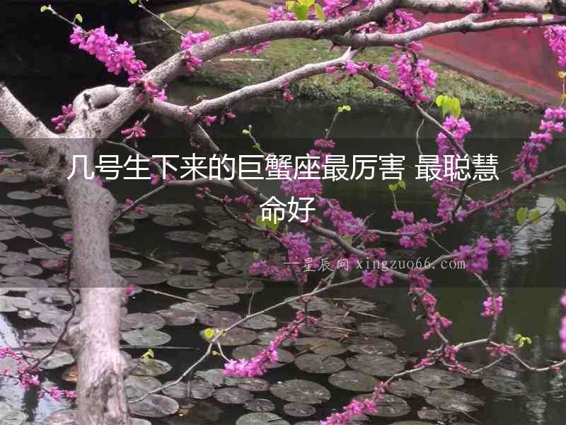 幾號(hào)生下來的巨蟹座最厲害 最聰慧 命好